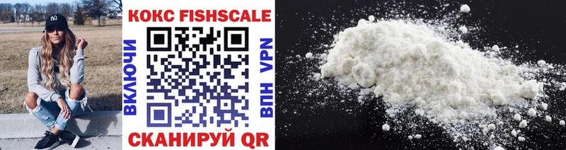 Cocaine Fish Scale  Купить закладки  Шилка 