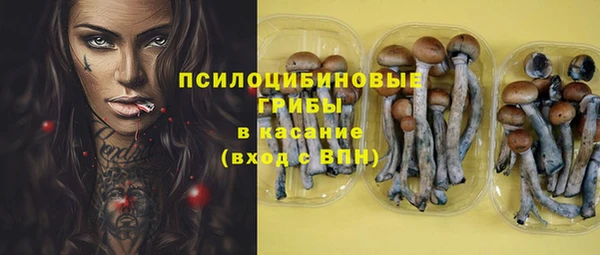 прущие крисы Тайга