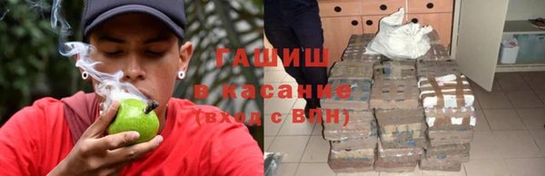 прущие крисы Тайга