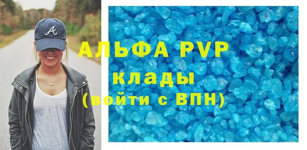 прущие крисы Тайга