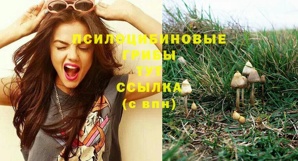 mdma Сясьстрой