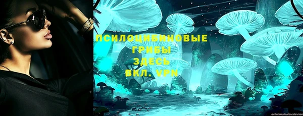 прущие крисы Тайга