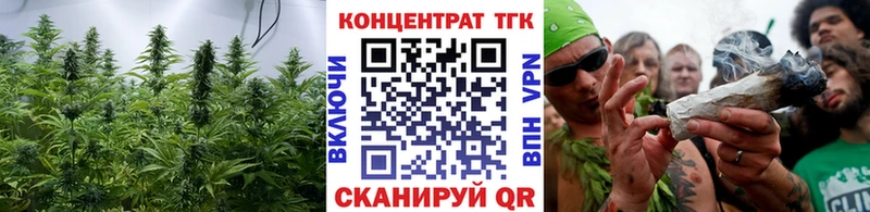 Купить закладки  Шилка  Дистиллят ТГК гашишное масло 