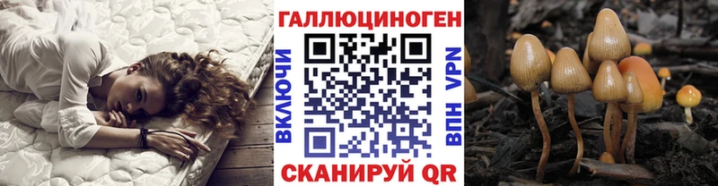 Псилоцибиновые грибы мицелий  Купить где  Шилка 